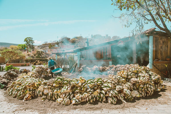 Exploring the Smoky and Mysterious World of Mezcal